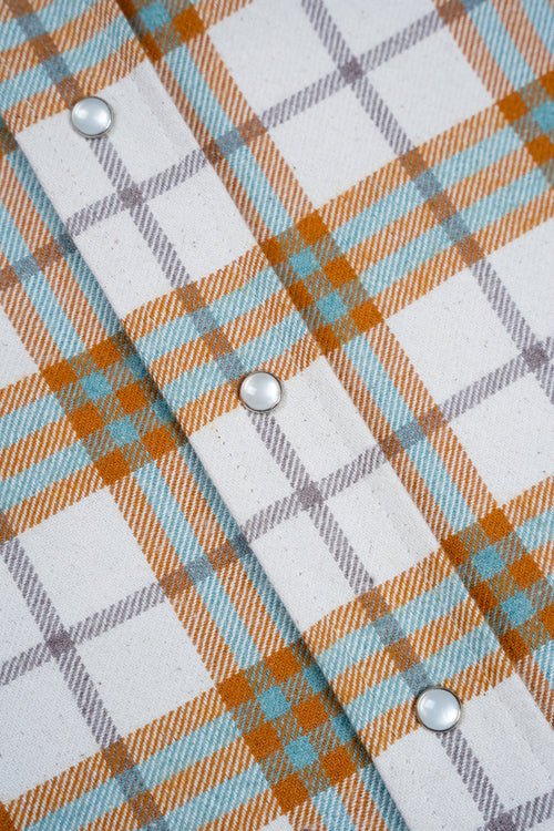 Beige with green lines